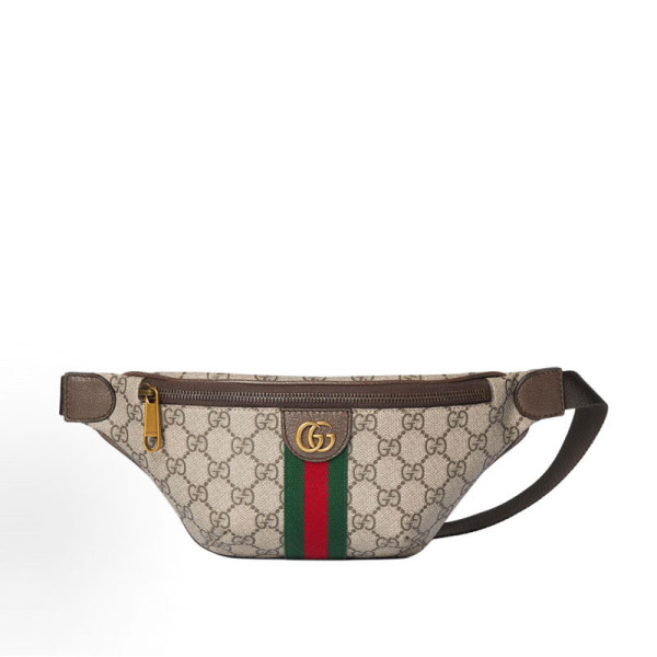 [스페셜오더]GUCCI-839106 FAEOF 9745 오피디아 스몰 벨트백