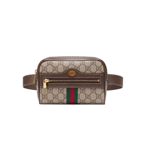 [스페셜오더]GUCCI-517076 8745 구찌 오피디아 GG 수프림 스몰 벨트백