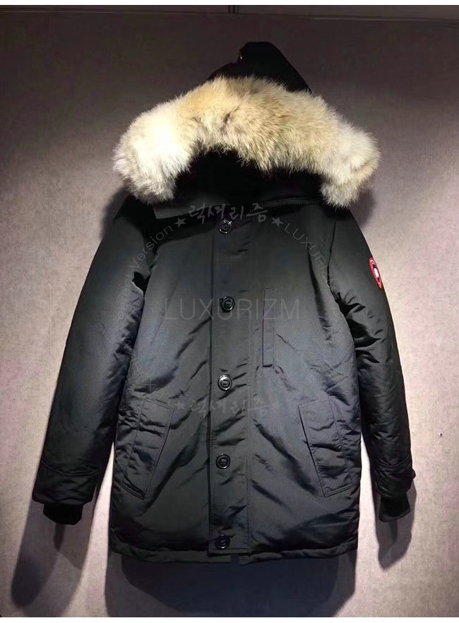 canada goose1-1021-4.jpg