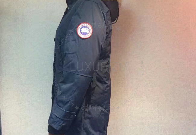 canada goose11-1021-7.jpg