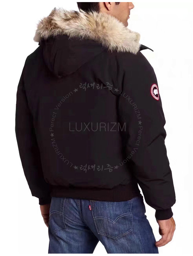 canada goose2-1023-3.jpg