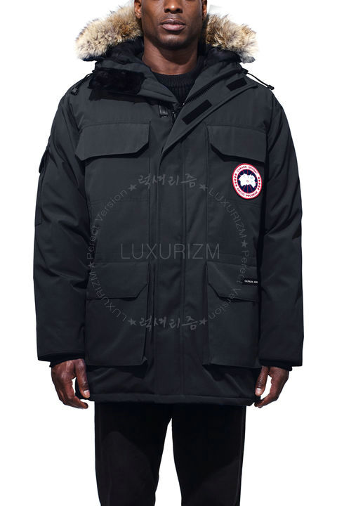 canada goose11-1103-1.jpg