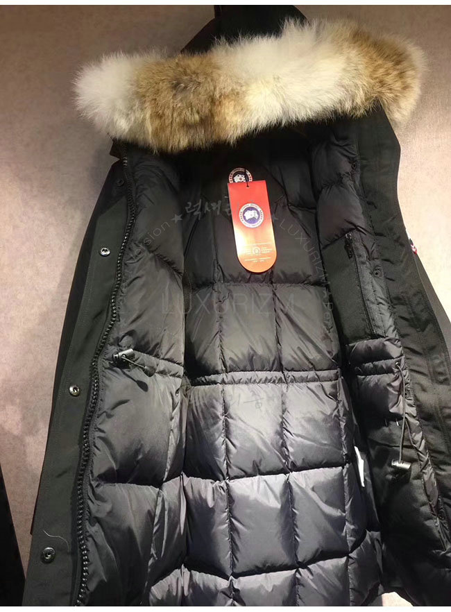 canada goose14-1103-7.jpg