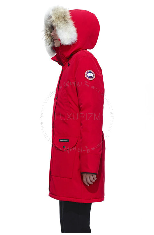 canada goose15-1103-4.jpg