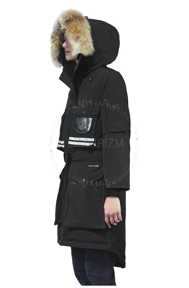 canada goose6-1103-2.jpg