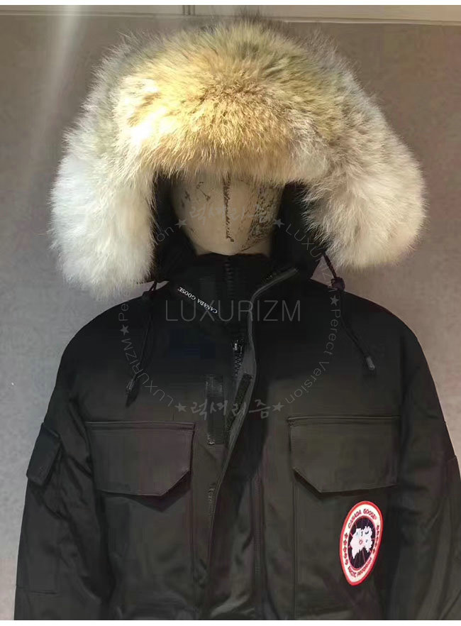 canada goose8-1103-10.jpg