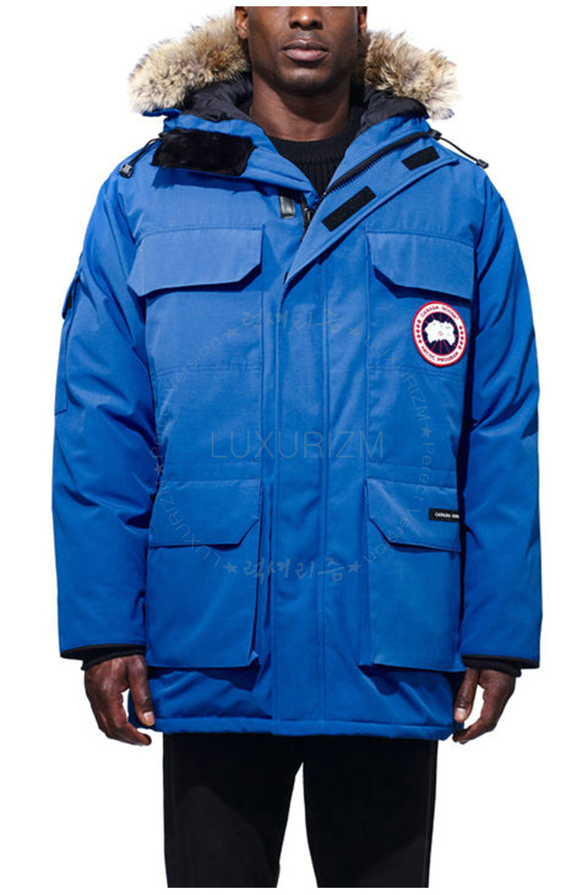 canada goose9-1103-1.jpg