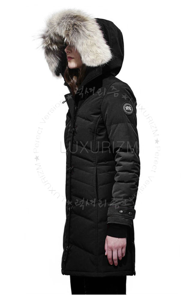 canada goose4-1107-2.jpg