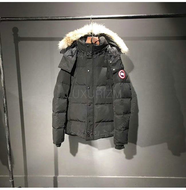 canada goose3-1108-1.jpg