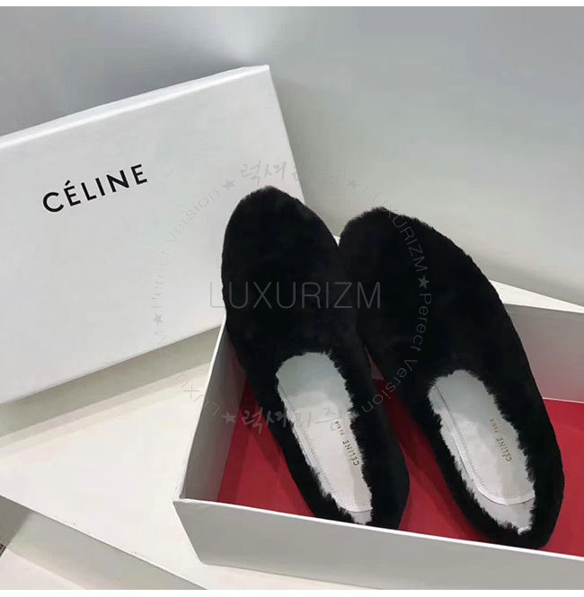 celine1-1218-4.jpg