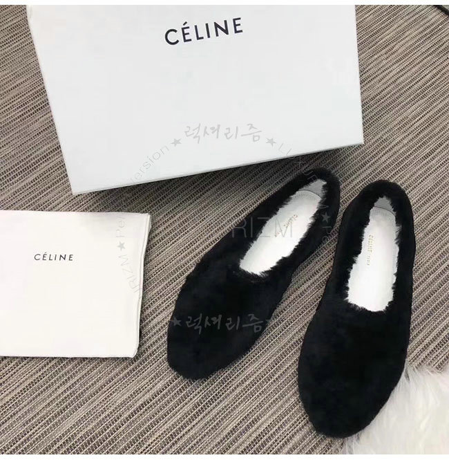 celine1-1218-5.jpg