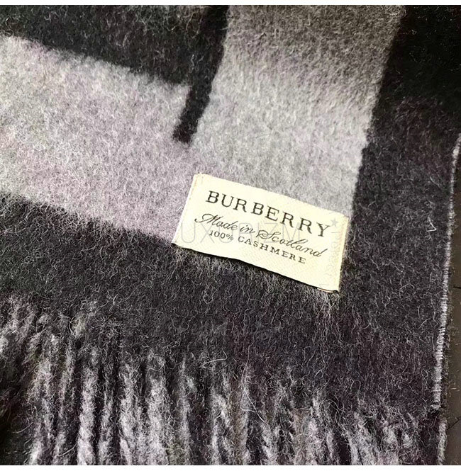 burberry2-0108-7.jpg